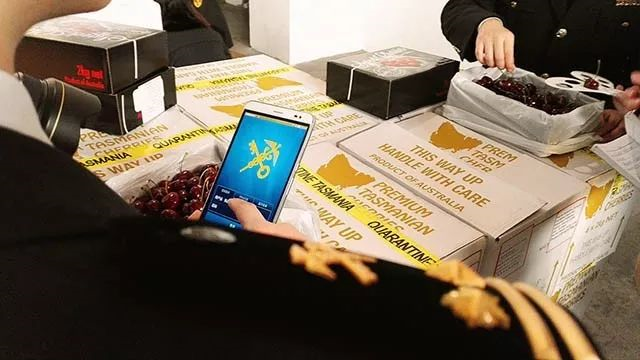 云关通平台概括七大关键词带你看懂海关全面深化改革成效（简减、智能、创新、公平）