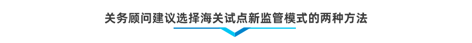 以企业为单元新监管电子账册软件系统