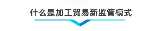 以企业为单元新监管电子账册系统