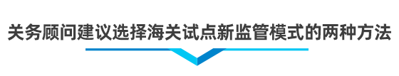 以企业为单元新监管电子账册系统