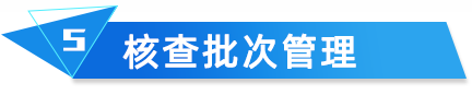 云关通海关核查分析核查批次管理