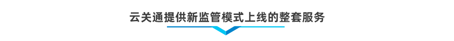 以企业为单元新监管电子账册软件系统