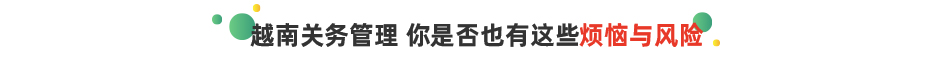 云关通云安越南关务管理信息化系统