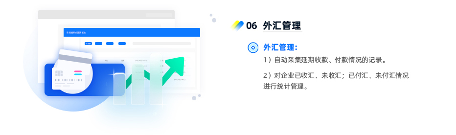 外汇管理： 1）自动采集延期收款、付款情况的记录。 2）对企业已收汇、未收汇；已付汇、未付汇情况进行统计管理。